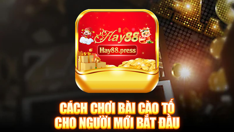 Cách chơi bài cào tố cho người mới bắt đầu